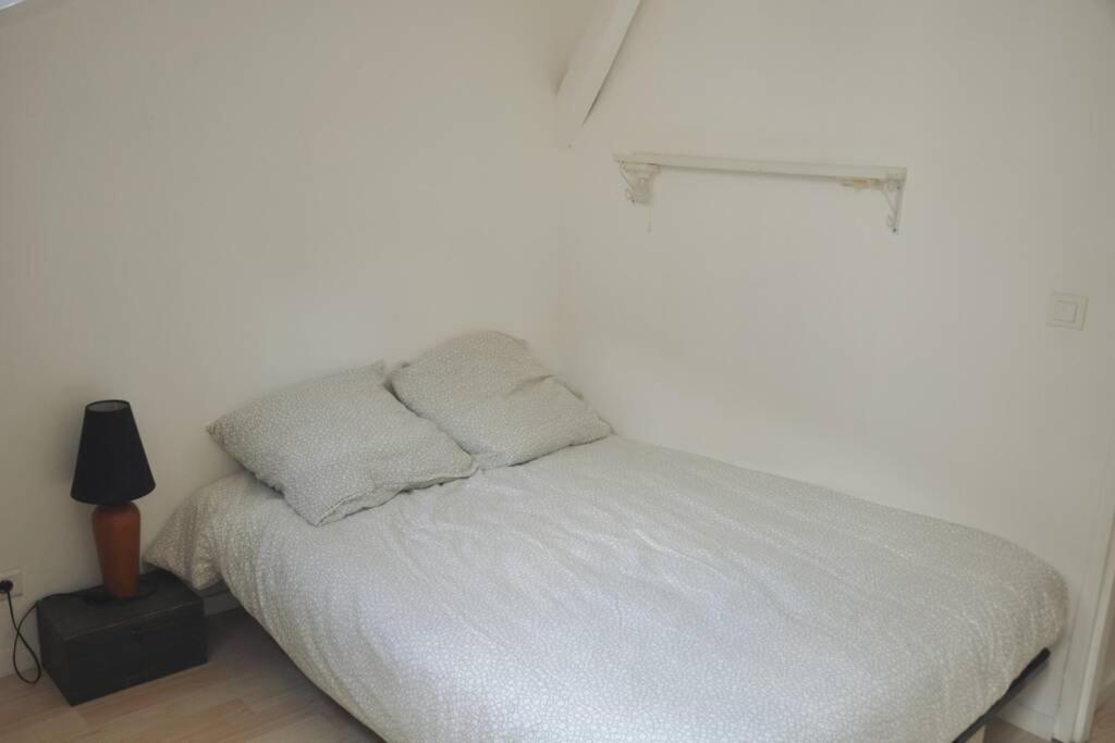Duplex Avec Belle Terasse Au Centre De Bayonne Lejlighed Eksteriør billede