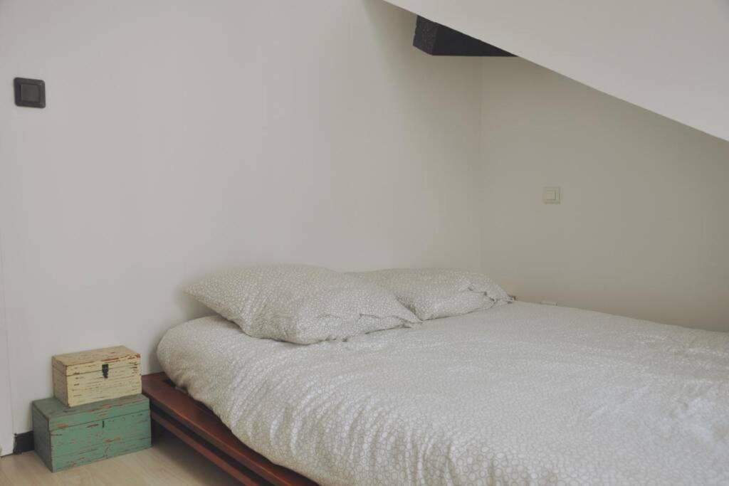 Duplex Avec Belle Terasse Au Centre De Bayonne Lejlighed Eksteriør billede